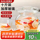 拜杰咸菜罐泡菜壇子玻璃瓶密封罐泡酒容器酵素桶儲(chǔ)存罐腌菜罐10斤