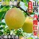 順豐正宗山西運城丹霞紅香梨9斤新鮮水果當季現摘脆甜酥梨蜜梨子L 凈重8.5斤【順豐現摘】