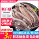 望涎超大 冷凍三去魷魚須 二本足 高固形物 燒烤鐵板魷魚 火鍋食材 精品超大魷魚須 500g(凈重)  *3