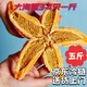 【新鮮滿(mǎn)籽】海星派大星新鮮熟凍速凍滿(mǎn)籽加熱即食水產(chǎn)肉類(lèi)海鮮 大號海星3-4只一斤 500g(凈重)  500克