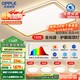 歐普（OPPLE）護眼全光譜吸頂燈客廳燈智能LED照明簡約現(xiàn)代大氣燈具套餐1包安裝