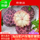 京地達海南新鮮紫色玫瑰釋迦果凈重2斤裝單果2-3兩牛奶番荔枝源頭直發(fā)