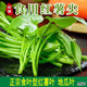 地瓜葉新鮮食用農(nóng)家現(xiàn)摘現(xiàn)發(fā)嫩尖番薯葉蔬菜紅薯葉 3斤