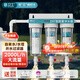 芯衛士 前置過(guò)濾器10寸三級家用凈水器自來(lái)水前置過(guò)濾器全屋大流量濾瓶魚(yú)缸過(guò)濾器排污廚房廚下式凈水機 升級排污款【4分銅口】