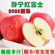 甘肅靜寧紅富士蘋(píng)果脆甜多汁當季采摘新鮮水果 凈重8.5斤 中果75-80mm