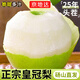 京地達碭山梨皇冠梨 凈重9斤單果250g新鮮梨子酥梨青皮梨源頭直發(fā)包郵