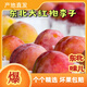 暖欣果（NUANXINGUO）東北大紅袍李子新鮮水果酸甜黃心李當季水果孕婦水果干碗李子 凈重4.5斤特大果