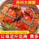 【活蟹】神行大閘蟹現(xiàn)貨全母蟹鮮活去繩足重螃蟹生鮮河蟹中秋禮盒 全母蟹2.3-2.6兩 10只裝