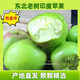 徐暖暖印度蘋(píng)果新鮮水果蘋(píng)果新鮮青蘋(píng)果水果整箱當季孕婦 5斤中果