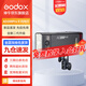 神牛（Godox）AD200proII閃光燈外拍閃光燈鋰電池口袋便攜外拍攝影補光燈單反相機高速TTL閃光燈 AD200proII【新增雙色溫造型燈】 官方標配