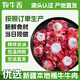 牧牛香新疆原切牛尾骨 凈重5斤 新鮮牛肉 生鮮 國產(chǎn)褐牛尾巴 源頭直發(fā)