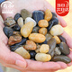 壽禾 溪流石造景裝飾底砂水箱過(guò)濾養龜小石頭 溪流石0.9-1.8cm2.5kg