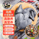 我老家散養(yǎng)烏雞新鮮現(xiàn)殺農(nóng)家烏骨雞一只裝（凈重2斤±50g/只） 源頭直發(fā)