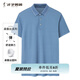 才子（TRIES）【商場(chǎng)同款】男裝桑蠶絲短袖Polo衫男夏輕奢高端T恤 藍(lán)色 M 46(165/84A)