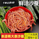 山姆優(yōu)選-沙蟲鮮活 活沙蠶紅沙蠶青沙蠶鱸魚餌海螞蝗海蜈蚣海釣 10盒裝泡沫盒裝【55·g/盒) 青沙蠶【個(gè)頭偏大】