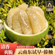 果益壽云南西雙版納傣柚【現(xiàn)摘】青皮純甜東試早柚子白蜜柚丑柚新鮮水果 1個(gè)裝 精選中果【1.5-2斤】 云南直發(fā)