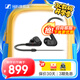 森海塞爾（Sennheiser）IE200/IE300/IE600/IE900 有線耳機(jī)旗艦級(jí)HIFI入耳式高保真可拆卸換線MMCX音樂動(dòng)圈耳塞 IE200【入門級(jí)HiFi耳機(jī)】