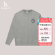 哈吉斯（HAZZYS）男裝毛巾繡花章圓領(lǐng)衛(wèi)衣ABTZE0BCI38 灰色GE 175/96A48