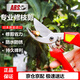 愛麗斯（ARS）120EU 修枝剪刀果樹剪園林剪園藝剪刀果樹剪刀進(jìn)口園藝剪刀