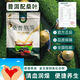 桑普熬茶 長(cháng)壽茶 （傳統奶茶 ）發(fā)酵普洱和高海拔黑桑果子樹(shù)桑茶 350克（50包） 熟普洱發(fā)酵茶和桑葉茶的合成包郵