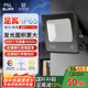 FSL佛山照明led投光燈戶外探照燈室外照明燈射燈庭院燈50W天耀IP65