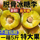 重慶新鮮現摘爆甜多汁青脆脫骨李子 5斤 5斤