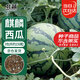 北蔬 西瓜種子種苗冰糖麒麟8424盆栽西瓜籽 冰糖麒麟瓜種子約150粒