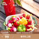 琺寶（staub）陶瓷烤盤芝士焗飯焗面盤家用烤箱焗爐專用烘焙雙耳長方菜盤 蒔蘿綠20*16cm