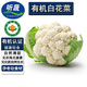 聽蔬有機白花菜1斤 菜花  顏色微黃 現(xiàn)摘有機認證新鮮蔬菜無農殘激素 白花菜1斤