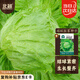 北蔬 結(jié)球生菜種子種苗圓生菜球綠葉盆栽蔬菜種籽 結(jié)球生菜種子10g