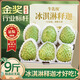 山姆大叔 泰國牛奶釋迦果【JD順豐-多地次日達】番荔枝水果禮盒中秋禮品 【牛乳級】巨無(wú)霸果王｜單果350g+ 精選果丨5斤裝【超值推薦】?jì)?.5