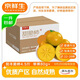 京鮮生陽豐脆柿甜柿凈重4.5斤單果80g+生鮮水果中秋禮品
