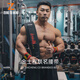 ZERO TO HERO健身護(hù)腰帶深蹲硬拉器械訓(xùn)練金士程聯(lián)名限定積健為雄力量舉訓(xùn)練 黑色【金士程聯(lián)名限定】 S【建議腰圍60-88cm】