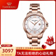 天王表(TIANWANG) 手表女霏系列鋼帶機(jī)械女表精致時(shí)尚簡約腕表 玫瑰金色女表51034