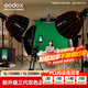 神牛（Godox）補光燈sl150bi三代雙色溫攝影常亮燈直播補光燈視頻直播補光燈直播人像拍照美顏柔光燈影視燈 SL150BI三代【全新升級三代，手機藍牙控制】 雙色溫版
