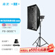 南光（NANLITE）FS-300C全彩大功率補(bǔ)光燈 視頻直播拍攝燈 RGB專業(yè)影棚大場(chǎng)景攝影燈 氛圍人像拍照燈 FS-300C+90*60四角柔光箱（蛋格）+燈架