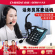 中諾（CHINO-E）W169耳麥電話機(jī)呼叫中心客服電銷耳機(jī)電話座機(jī)頭戴式降噪話務(wù)機(jī) W169-話機(jī)套裝