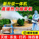 摩亨噴霧器彌霧機(jī)消毒脈沖大棚果樹(shù)煙霧機(jī)稻田小麥打藥機(jī)養(yǎng)殖場(chǎng)迷霧機(jī) 35A升級(jí)（高端脈沖熱力煙霧機(jī)）