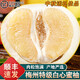 桃西村梅州三紅蜜柚【順豐到家】紅心蜜柚紅肉柚中秋團購禮盒裝新鮮水果 凈重50斤 白心柚【13-19個(gè)裝】麻袋