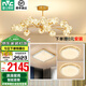 雷士（NVC）北歐現(xiàn)代輕奢智能網紅led螢光客廳吊燈餐廳吊燈中山燈具燈飾套餐 螢光 15頭智能吊燈 【三室一廳】