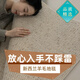 聚美麗舍新西蘭羊毛客廳地毯沙發(fā)茶幾墊2025新款耐臟免洗輕奢高級感臥室 琥珀大宅(新西蘭羊毛) 2.4m*1.6m 配2.4米左右沙發(fā)