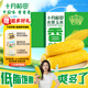 十月稻田 低GI水果甜玉米 3.52斤(220g*8根)  中秋禮盒 低脂早餐 零食即食