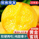 京地達黃桃江蘇黃金蜜黃桃凈重4.8斤單果250g+新鮮水果源頭直發(fā)包郵