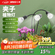 三思夾子植物燈led室內(nèi)全光譜綠植盆栽花卉分區(qū)補(bǔ)光燈-30W三頭定時(shí)