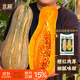 北蔬 南瓜種子苗甜糯板栗味老品種雜交蔬菜種籽 糯妃20老蜜本種子20粒
