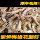 日照海鮮花腰蝦 鮮活嘎巴蝦 狗蝦長(cháng)腿蝦 夾板蝦 花蝦水產(chǎn) 1000g 1g
