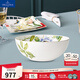 德國唯寶（Villeroy&Boch）亞馬遜系列 進(jìn)口骨瓷餐具 歐式米飯碗家用套餐 湯碗面碗簡約時(shí)尚 湯碗 21cm