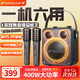 山水（SANSUI）D71迷你小音響無(wú)線(xiàn)藍牙廣場(chǎng)舞音響便攜式戶(hù)外手提大音量K歌音響 D71雙話(huà)筒【京倉次日達】