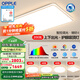 歐普（OPPLE）LED吸頂燈大客廳自建房超大1.2米全光譜APP智能燈具飾錦軒TC A5智控調(diào)光【4室1廳-5燈】