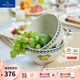 德國(guó)唯寶（Villeroy&Boch）法式花園系列碗飯碗湯碗面碗釉中彩陶瓷碗家用 Fleur 飯碗 650ml